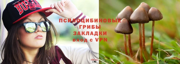 дурь Аркадак