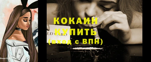 кокс Алексин